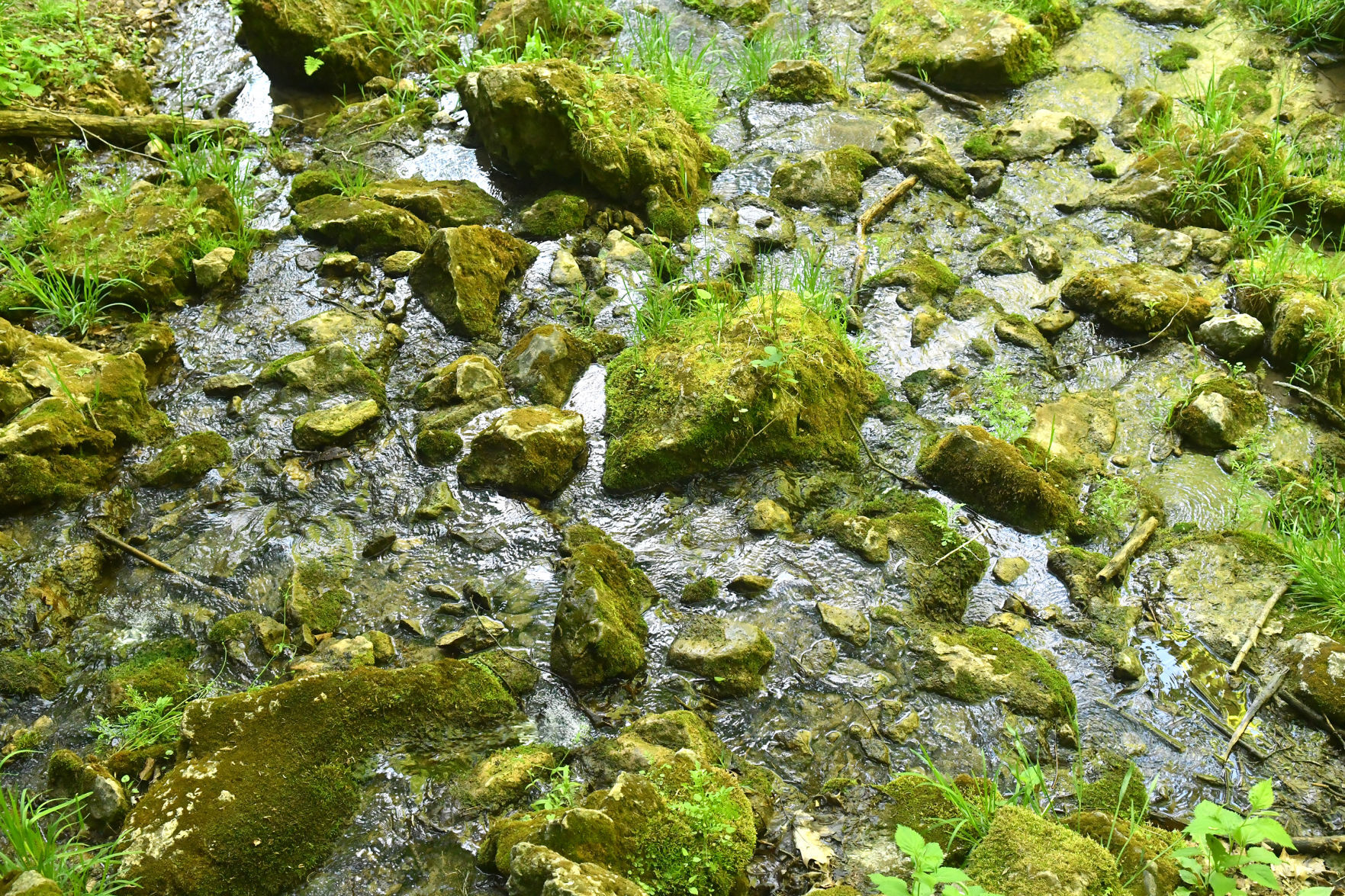 051321-qc-nws-maquoketacaves-139